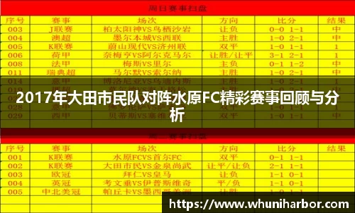 2017年大田市民队对阵水原FC精彩赛事回顾与分析